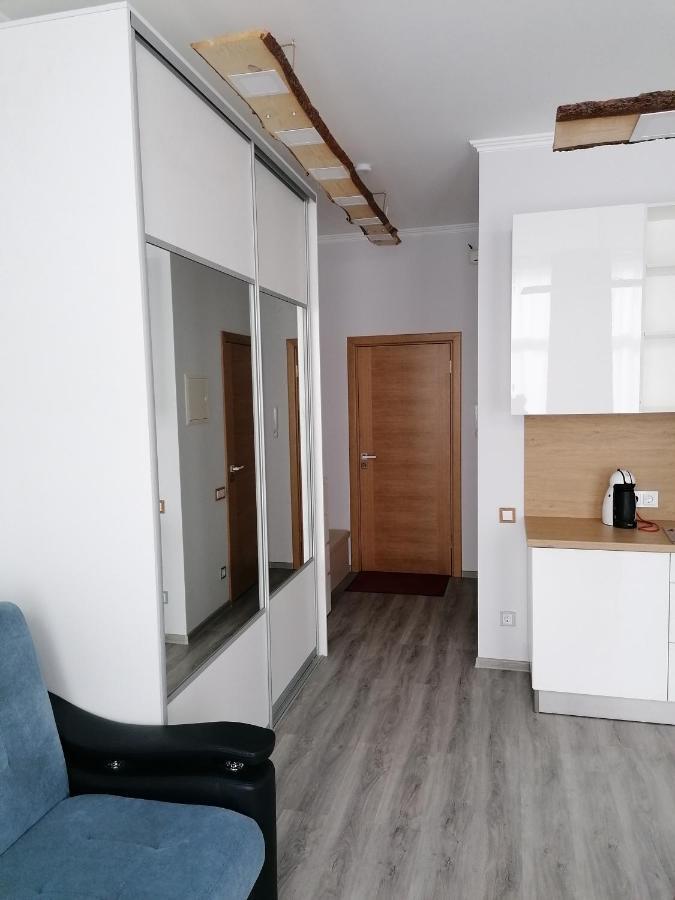 Palm Apartment Studio リガ エクステリア 写真