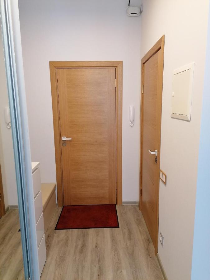 Palm Apartment Studio リガ エクステリア 写真